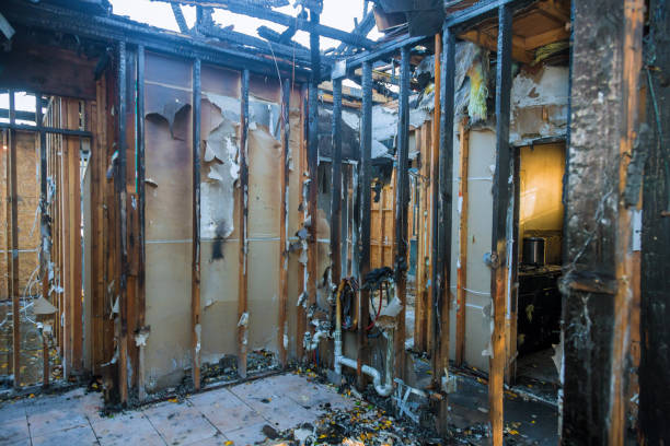 Professional Odor Removal technician working in Newberry, MI